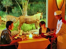 ライオンレストラン