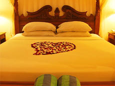 ハネムーンルーム