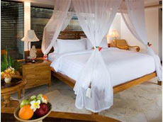 スカールヴィラ