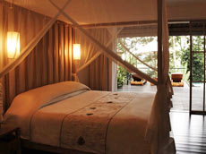 シャムスイート3