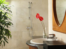 バンガロー バスルーム