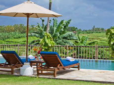 ライステラスビュー