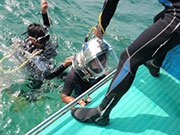 はしごへ降ります