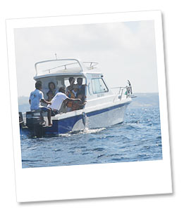 フィッシング　1