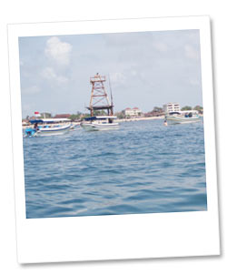 ビーチから離れて海をお散歩