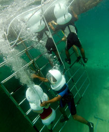 シーウォーカー　1