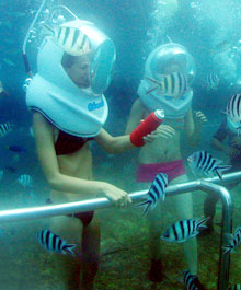 シーウォーカー　2