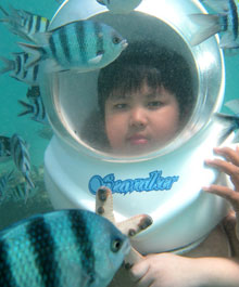 シーウォーカー　4