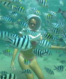 シーウォーカー　3