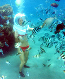 シーウォーカー　3