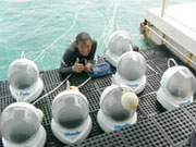 特殊ヘルメット