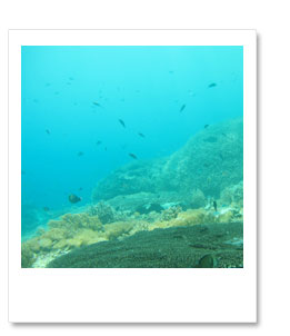 透明度は抜群です