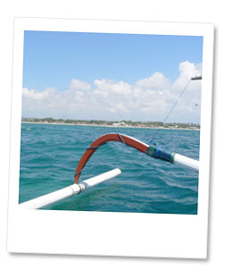 シュノーケルポイント