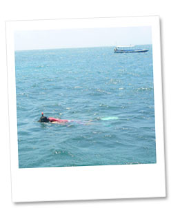 自分のペースで楽しめます