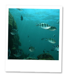 グループで一緒に楽しめる