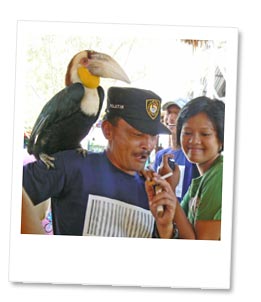 オウムを肩に乗せてみます