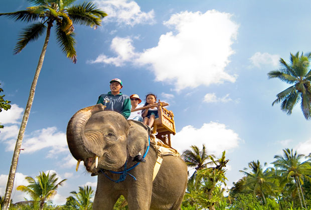 エレファントライド