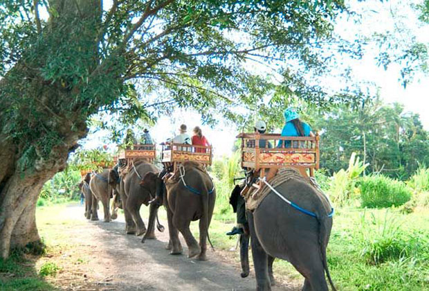 エレファントライド