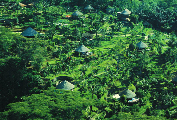 バグースジャティ