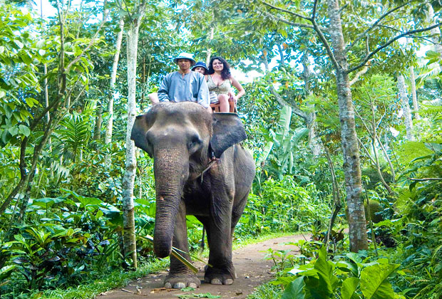 ランチバイキング