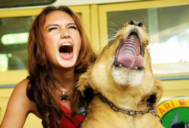 サファリ & マリンパーク