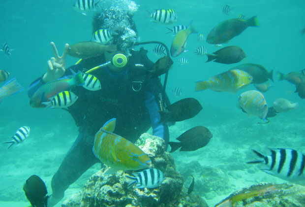 体験ダイビング