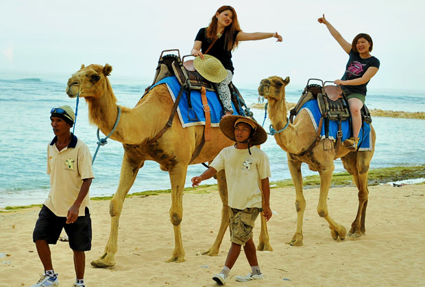 キャメルサファリ