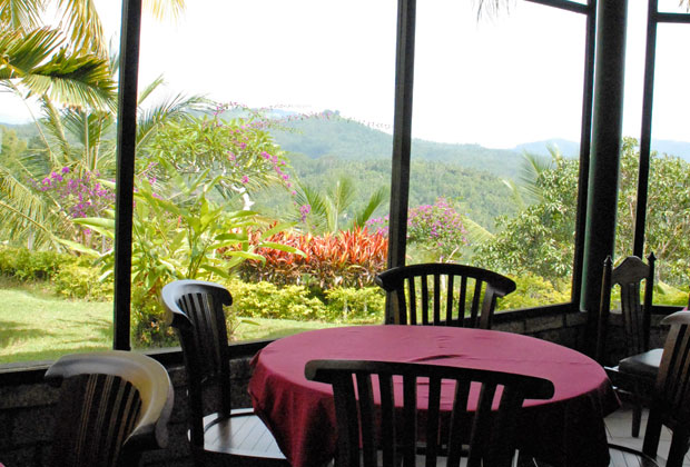 屋内レストランでランチ