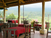 オープンエアーの店内