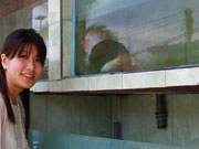 活魚の入った水槽