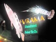 この看板が目印