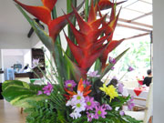 鮮やかな南国の花が迎えます