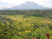 ライステラスの絶景が広がる