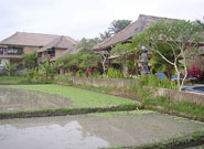 周りは田園が広がります