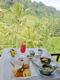 日本語スタッフがいるので安心