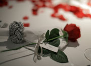 お名前入りのバラ