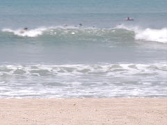 ビーチにて講習