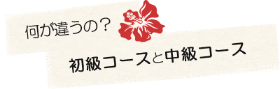 初級と中級の違い