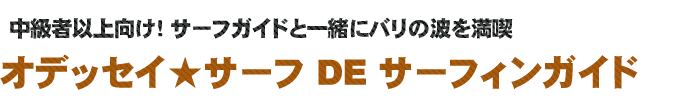 オデッセイサーフでサーフィンガイド