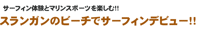 サーフィン体験+マリンスポーツ