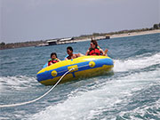 選択：ドーナツボート