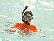 シュノーケリング