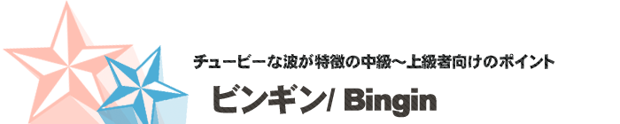 サーフポイント／ビンギン