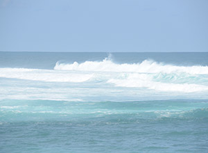 グリーンボール5