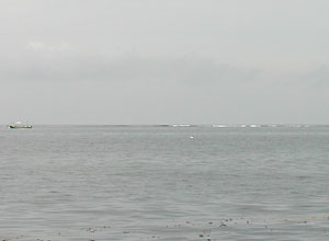 ハイアットリーフ6