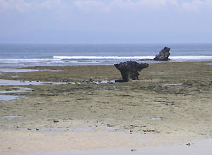 マッシュルームロック3