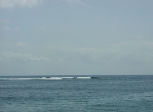 サヌールシークレット4