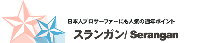 サーフポイント／スランガン