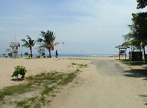 マッシュルームロック2