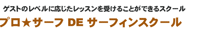 プロサーフでサーフィンスクール